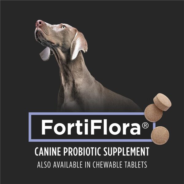 Purina Pro Plan Veterinary Supplements FortiFlora Dog  - (72) 30 ct. Boxes - Image 3